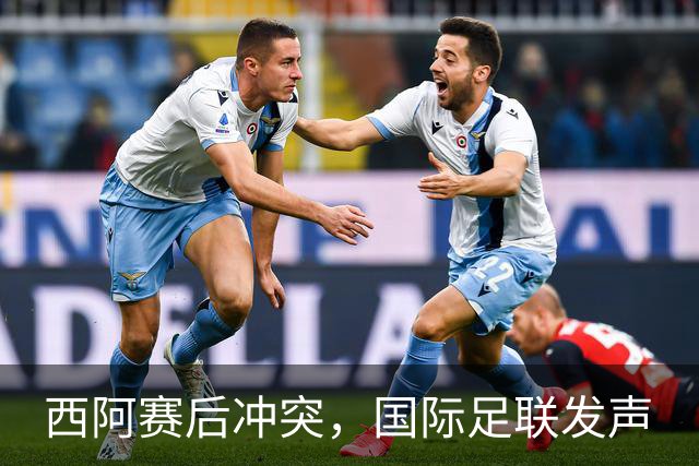 西阿赛后冲突，国际足联发声